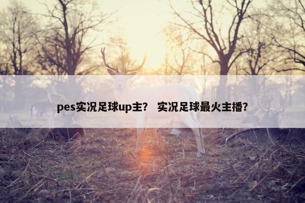 pes实况足球up主？ 实况足球最火主播？