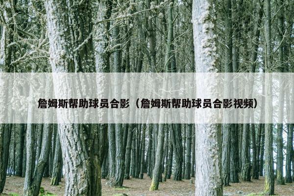 詹姆斯帮助球员合影（詹姆斯帮助球员合影视频）