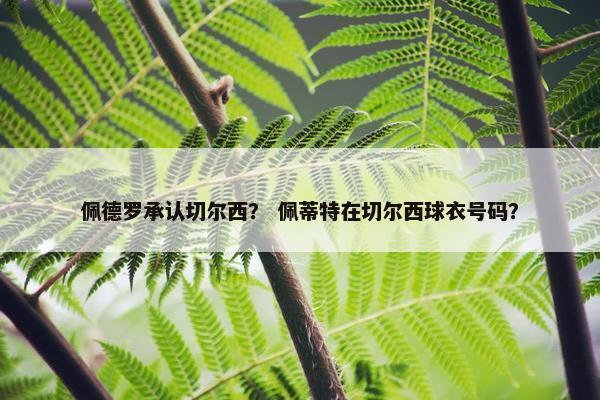 佩德罗承认切尔西？ 佩蒂特在切尔西球衣号码？
