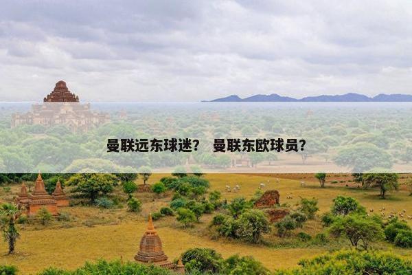 曼联远东球迷？ 曼联东欧球员？