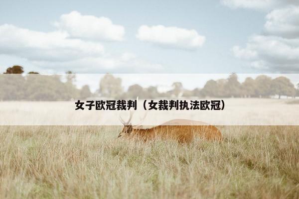 女子欧冠裁判（女裁判执法欧冠）