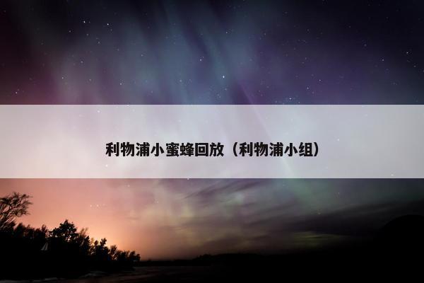 利物浦小蜜蜂回放（利物浦小组）