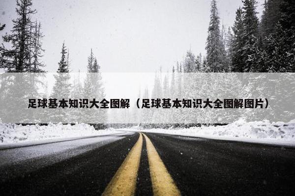 足球基本知识大全图解（足球基本知识大全图解图片）
