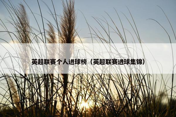 英超联赛个人进球榜（英超联赛进球集锦）