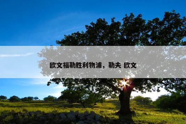 欧文福勒胜利物浦，勒夫 欧文