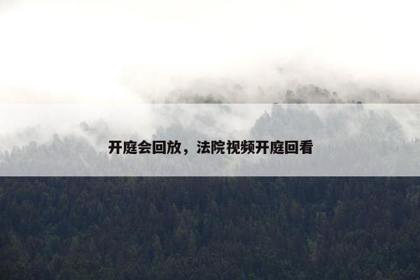 开庭会回放，法院视频开庭回看