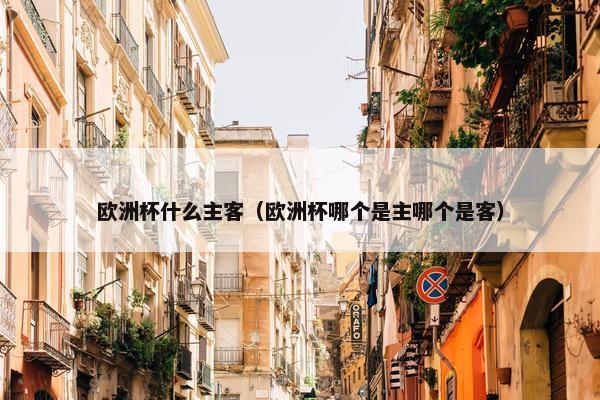 欧洲杯什么主客（欧洲杯哪个是主哪个是客）