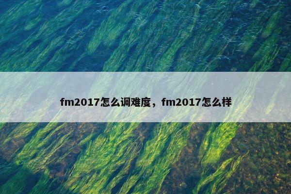fm2017怎么调难度，fm2017怎么样