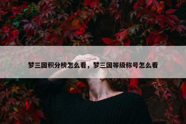 梦三国积分榜怎么看，梦三国等级称号怎么看