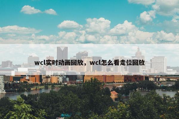 wcl实时动画回放，wcl怎么看走位回放