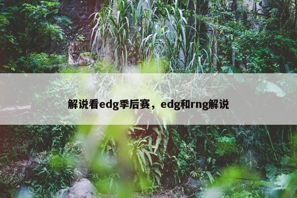 解说看edg季后赛，edg和rng解说