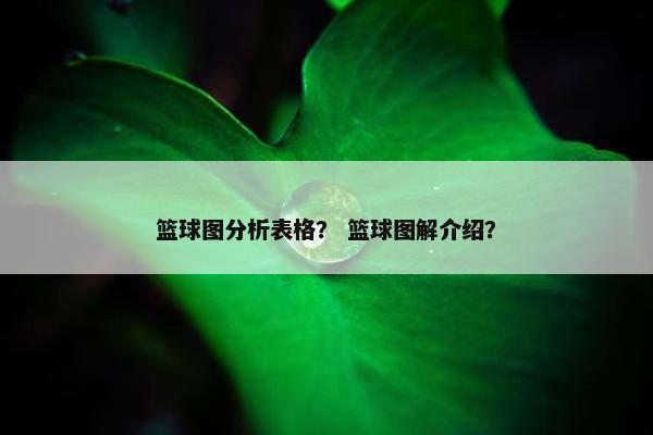 篮球图分析表格？ 篮球图解介绍？