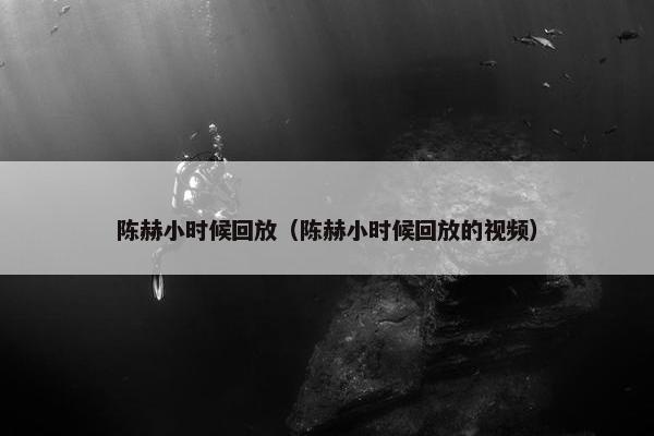 陈赫小时候回放（陈赫小时候回放的视频）