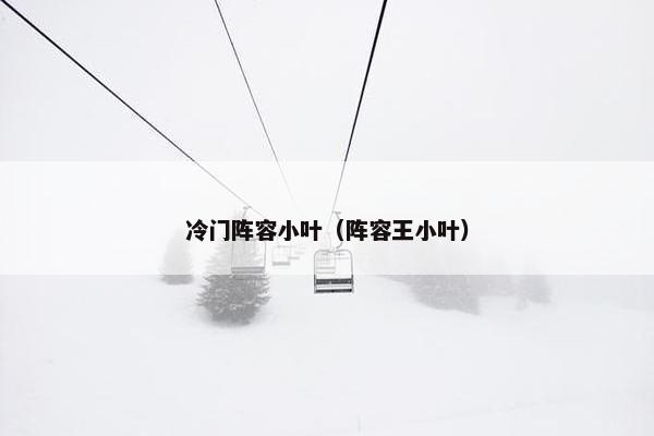 冷门阵容小叶（阵容王小叶）