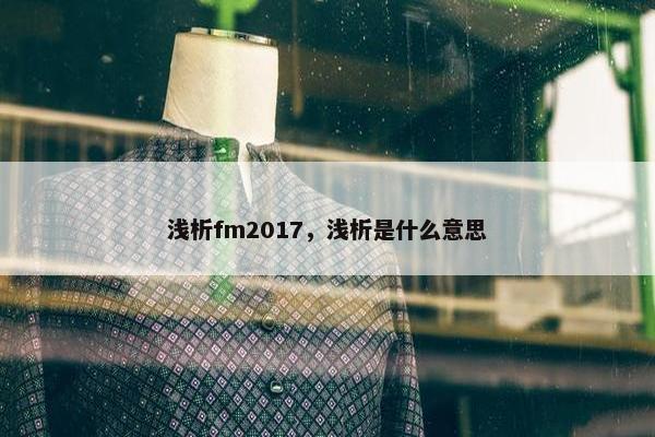 浅析fm2017，浅析是什么意思