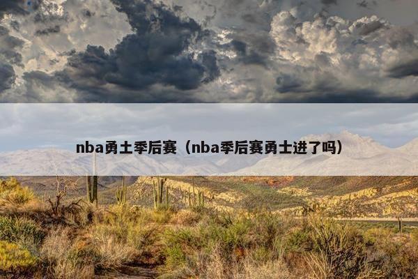 nba勇土季后赛（nba季后赛勇士进了吗）