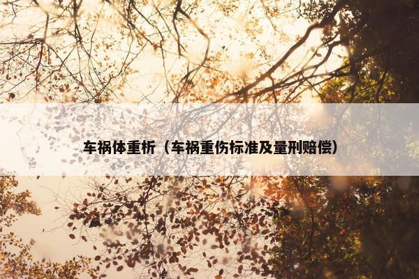 车祸体重析（车祸重伤标准及量刑赔偿）