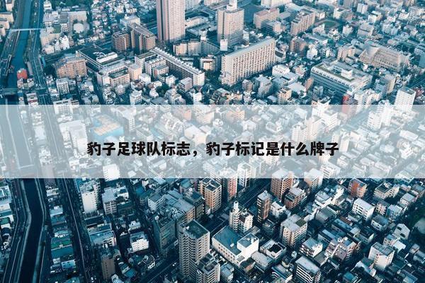 豹子足球队标志，豹子标记是什么牌子