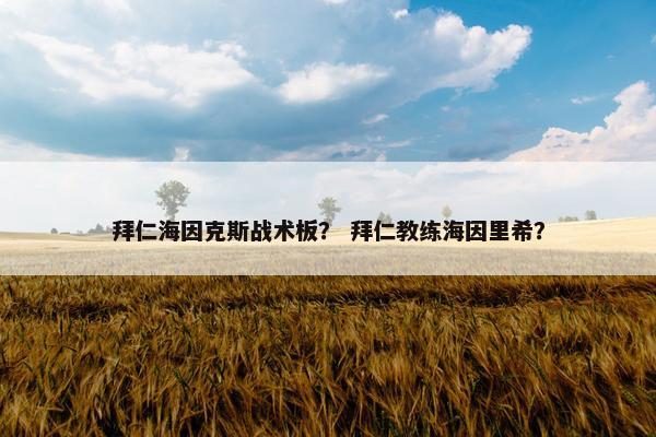 拜仁海因克斯战术板？ 拜仁教练海因里希？