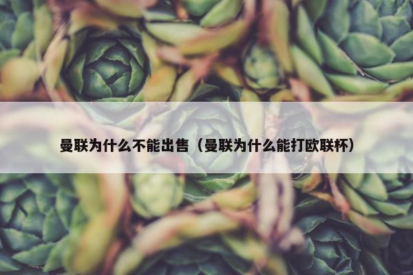 曼联为什么不能出售（曼联为什么能打欧联杯）