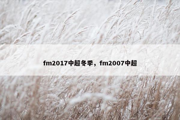 fm2017中超冬季，fm2007中超