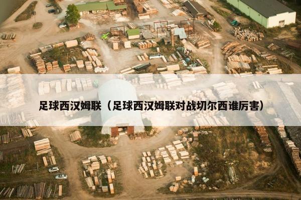足球西汉姆联（足球西汉姆联对战切尔西谁厉害）