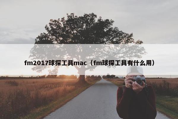 fm2017球探工具mac（fm球探工具有什么用）
