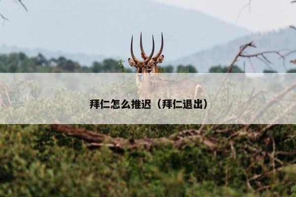 拜仁怎么推迟（拜仁退出）