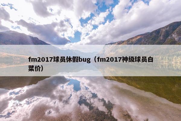 fm2017球员休假bug（fm2017神级球员白菜价）