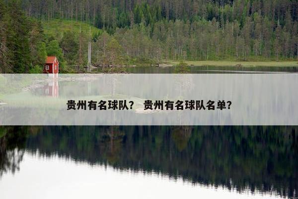 贵州有名球队？ 贵州有名球队名单？