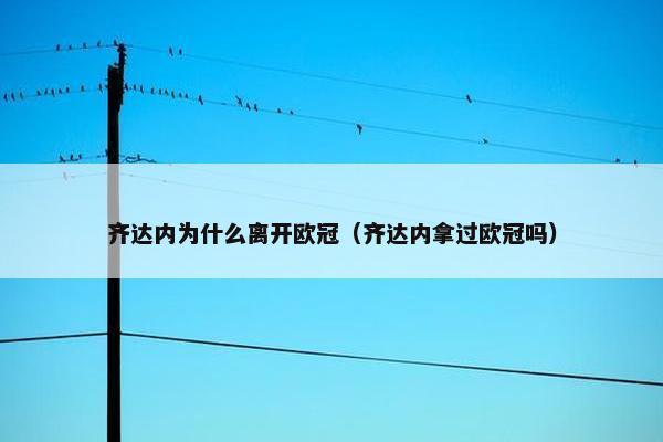 齐达内为什么离开欧冠（齐达内拿过欧冠吗）