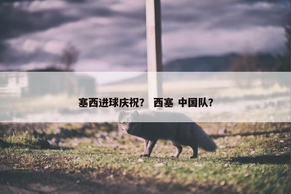 塞西进球庆祝？ 西塞 中国队？