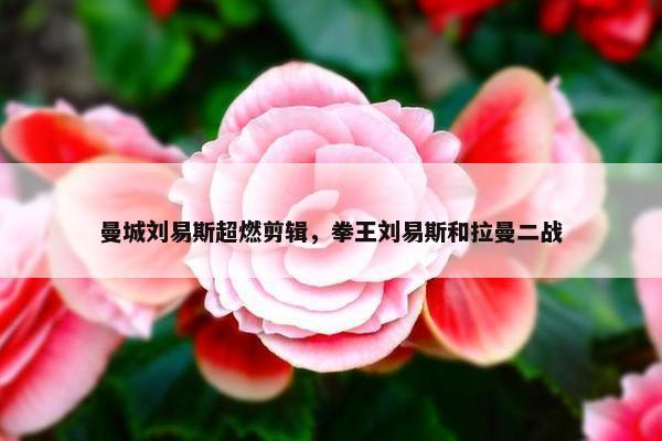曼城刘易斯超燃剪辑，拳王刘易斯和拉曼二战