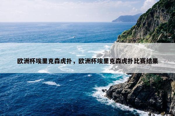 欧洲杯埃里克森虎扑，欧洲杯埃里克森虎扑比赛结果