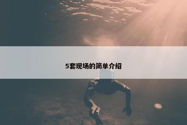 5套现场的简单介绍