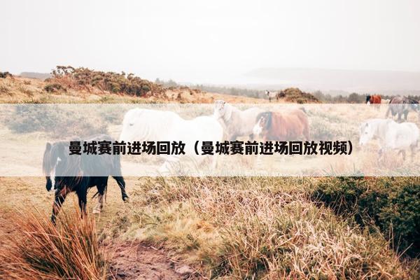 曼城赛前进场回放（曼城赛前进场回放视频）