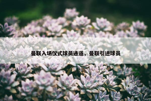 曼联入场仪式球员通道，曼联引进球员