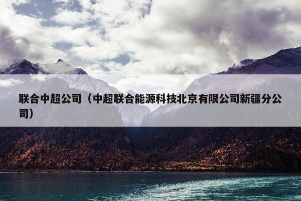 联合中超公司（中超联合能源科技北京有限公司新疆分公司）