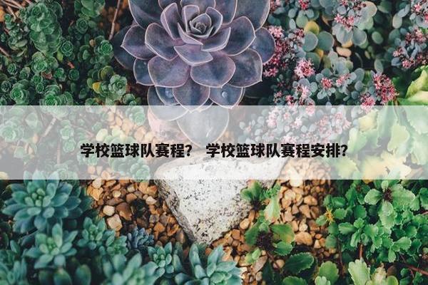 学校篮球队赛程？ 学校篮球队赛程安排？