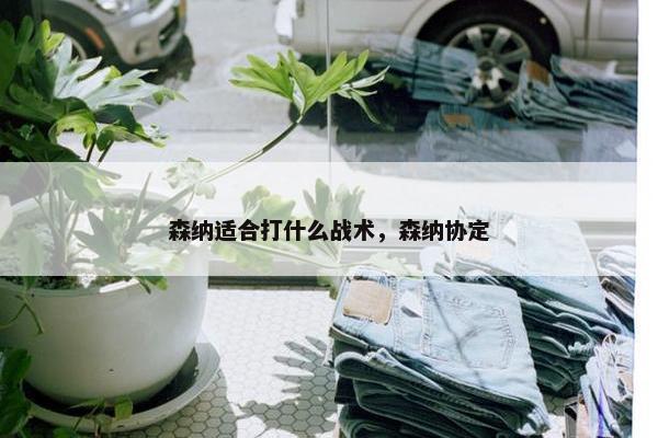 森纳适合打什么战术，森纳协定