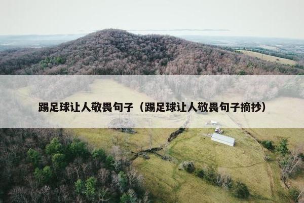 踢足球让人敬畏句子（踢足球让人敬畏句子摘抄）