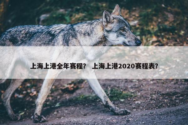 上海上港全年赛程？ 上海上港2020赛程表？