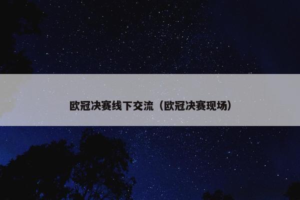 欧冠决赛线下交流（欧冠决赛现场）