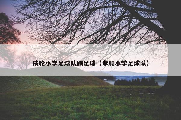 扶轮小学足球队踢足球（孝顺小学足球队）