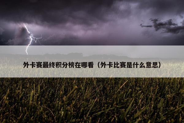外卡赛最终积分榜在哪看（外卡比赛是什么意思）