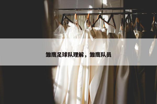 雏鹰足球队理解，雏鹰队员