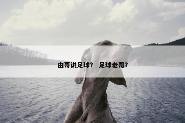 由哥说足球？ 足球老哥？