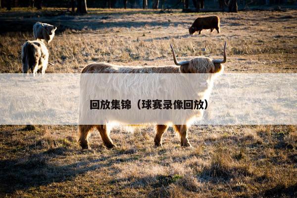 回放集锦（球赛录像回放）