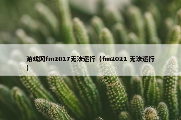 游戏网fm2017无法运行（fm2021 无法运行）