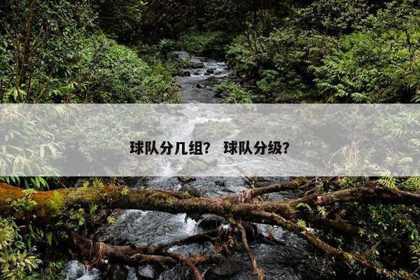 球队分几组？ 球队分级？